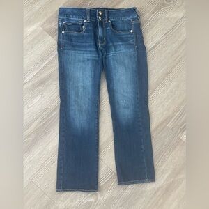 American Eagle Artist Crop Jeans